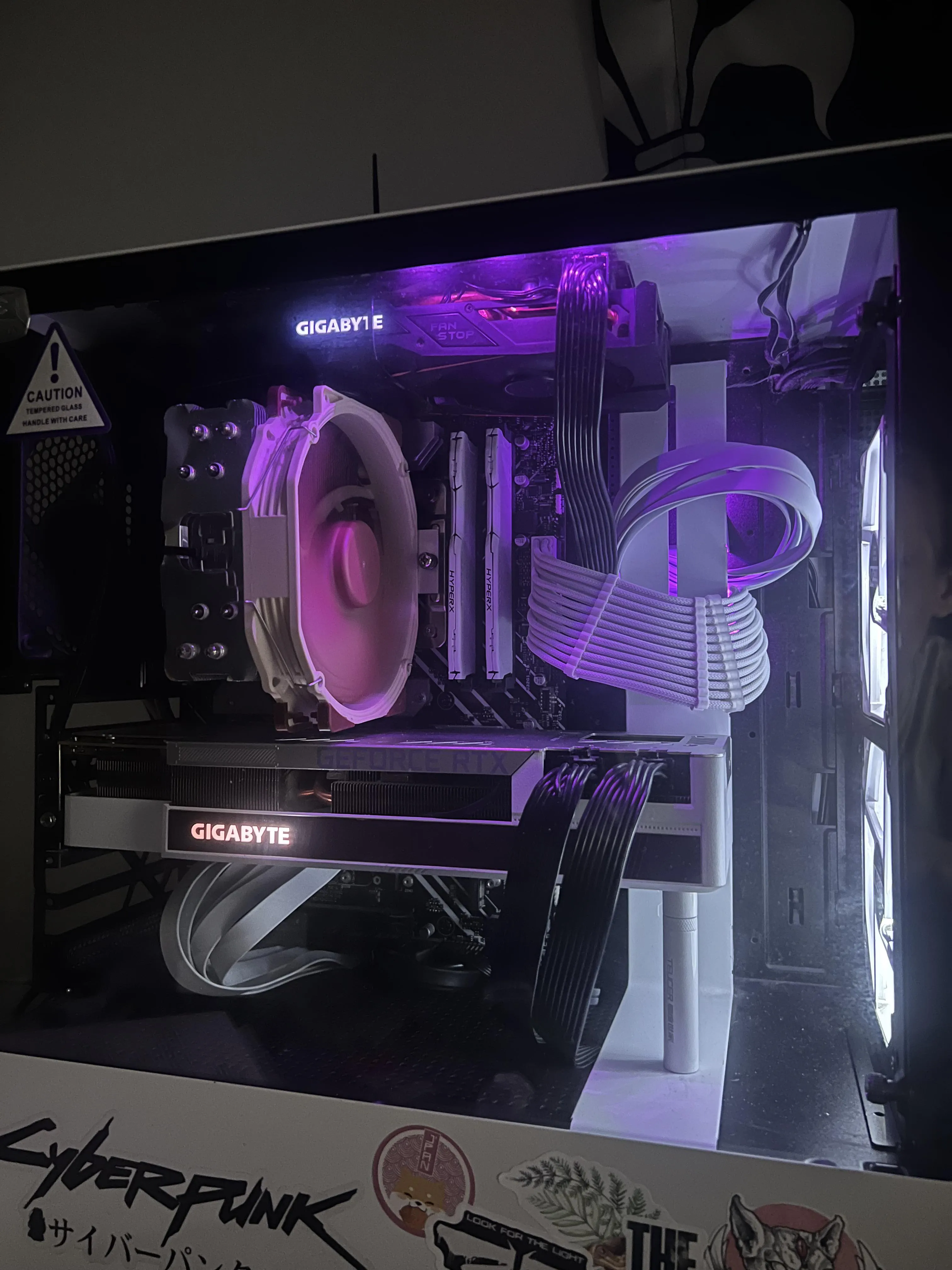 Cyberpunk Akimbo